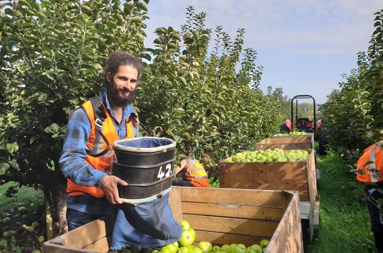 Broadwater Farm UK Summer Fruit Picking